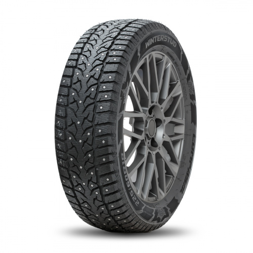 205/55 R16 XL 94T COMPASAL WINTERSTUD шипованная